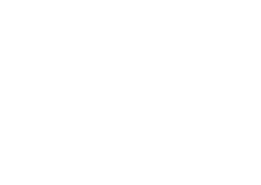 Viitor Inginer